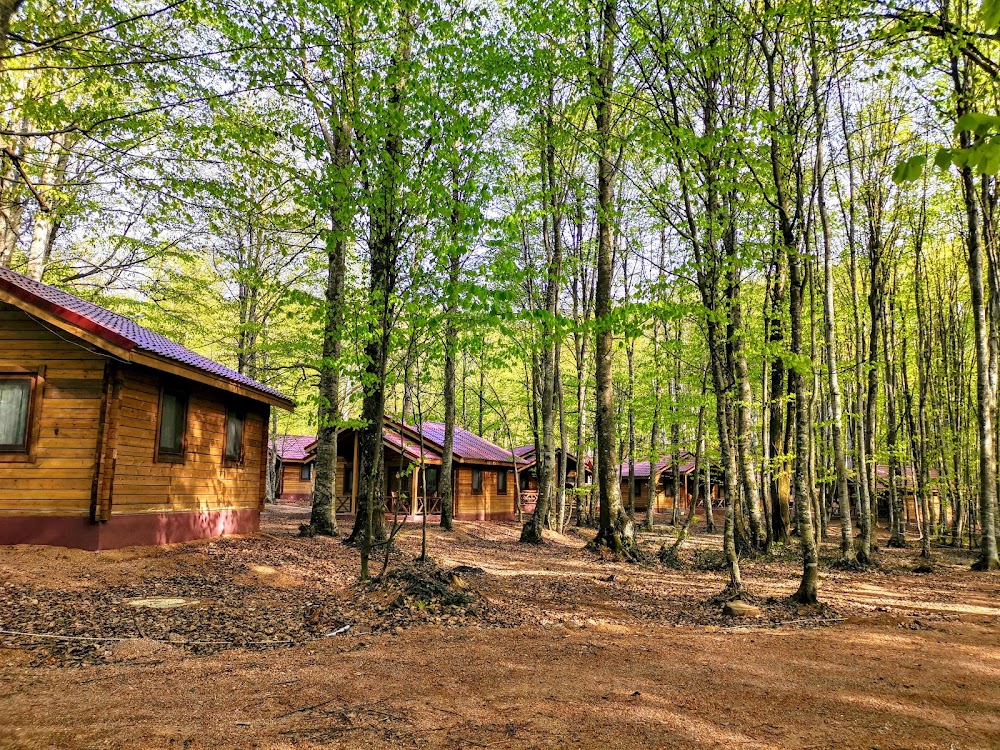 Eriklitepe Tabiat Parkı